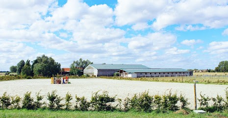 Écurie Nicolas Pertusa, Pension pour Chevaux à Santes