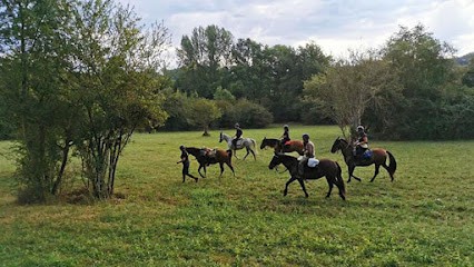 ECURIES DE GINKGO, Centre Equestres à Pondaurat