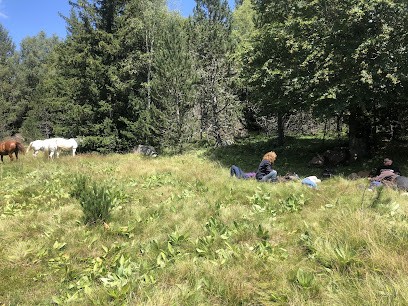 Les crinières transhumantes, Centre Equestres à Conqueyrac