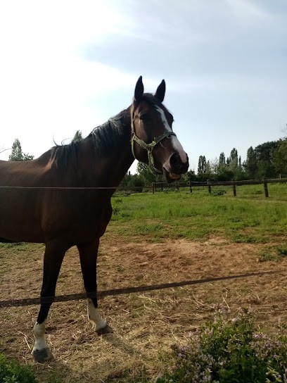 Les Écuries De La Boissière, Centre Equestres à Orveau