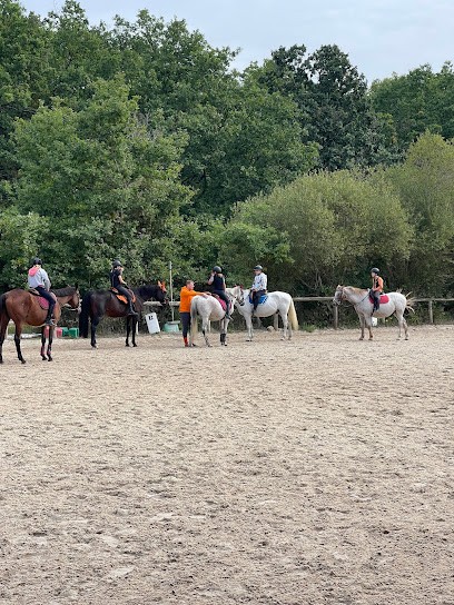 Écurie Noury Jump, Centre Equestres à Semoy