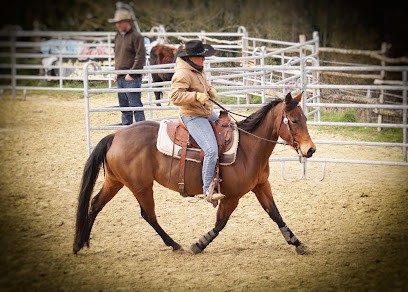 Vexin Western Farm, Pension pour Chevaux à Vaudancourt