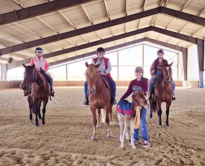 Les Ecuries Du Grand Guillon, Pension pour Chevaux à Ladiville