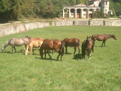 Ferme équestre du causse, Centre Equestres à Granès