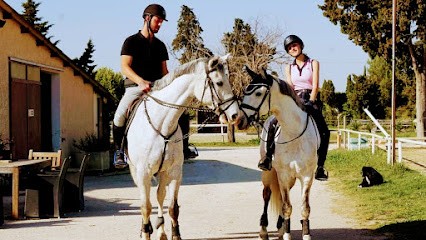 ECURIES ECM TEAM MARCUCETTI, Pension pour Chevaux à Poulx