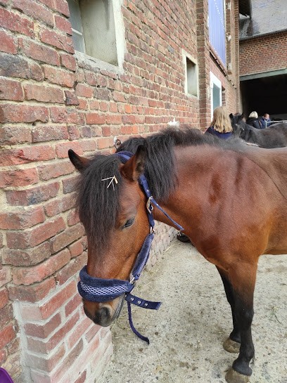 Equestrian Center De Lesdins, Centre Equestres à Lesdins