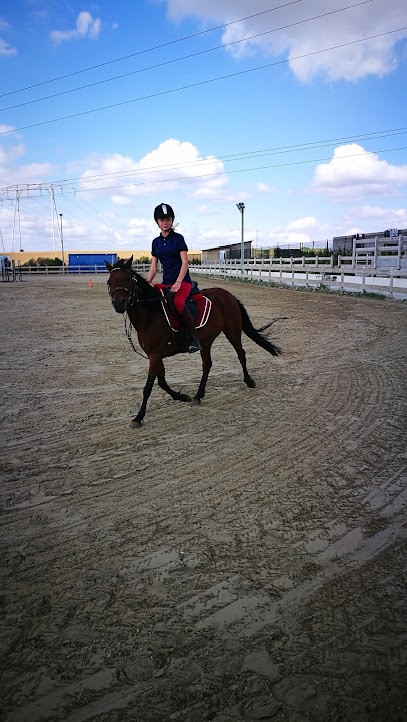 DOMAINE EQUESTRE DE LA VIVH, Centre Equestres à Coincy