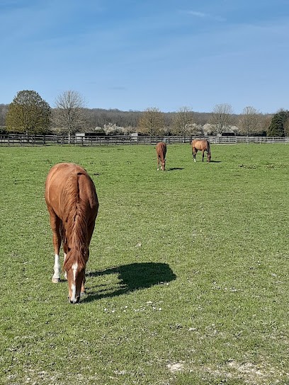 HARAS DE BORY, Centre Equestres à La Boissière-École