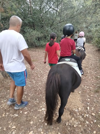 CENTRE EQUESTRE PONEY CLUB DE VERGEZE, Centre Equestres à Vergèze