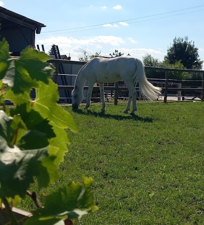 Ecurie des 2F, Pension pour Chevaux à Jolimetz