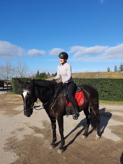 ECURIES D ELLIPSE, Centre Equestres à Malville