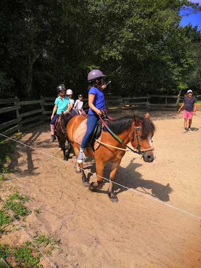 Equestrian Center Du Seignanx, Centre Equestres à Saint-André-de-Seignanx