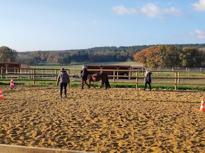 Les Écuries De La Noiraie, Centre Equestres à Neuillé