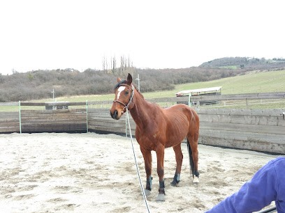 ecurie de la jonchere, Pension pour Chevaux au Crest