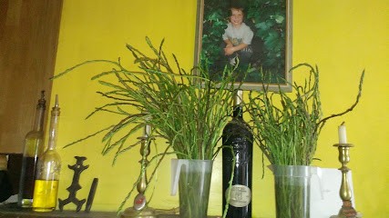 Montagnes Et Garrigues, Centre Equestres à Félines-Minervois