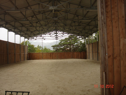 Ecurie De Pers Pension Pour Chevaux à Caussols