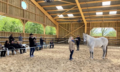 Les Chevaux De La Martinière - Equicoaching, Centre Equestres à Saint-Germain-de-Livet