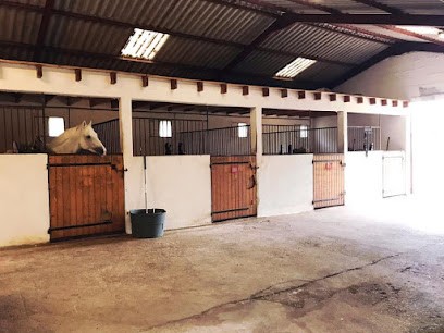 Haras de Sirogne, Pension pour Chevaux à Ussac