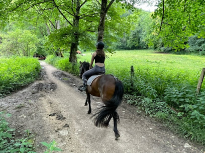 Balade A Poney ~ Les Destriers Du Bout Du Monde Centre Équestre à Cormot-Vauchignon