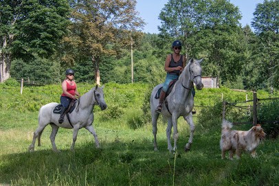 Centre équestre et écurie Entre Ciel et Terre, Pension pour Chevaux à Vollore-Montagne