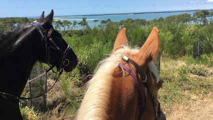 L'Étrier Ronçois, Centre Equestres à La Tremblade