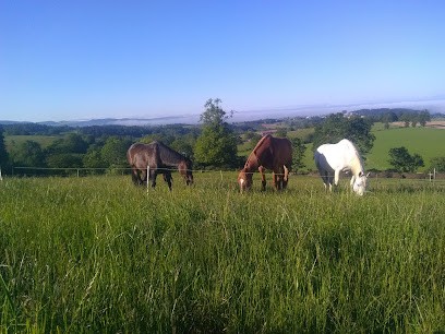 Vermare Nicolas Ecurie Du Planu, Pension pour Chevaux à Longessaigne