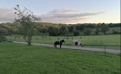 Equi Balance Pension Pour Chevaux au Bas Ségala