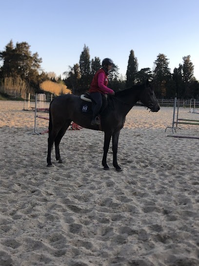 Krikorian Fabien, Centre Equestres à Saint-Rémy-de-Provence