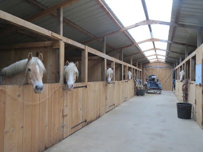 Les écuries De Chevilly, Centre Equestres à Excenevex