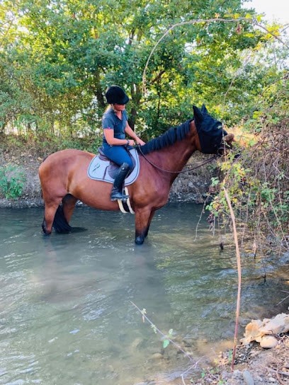 Écurie Seisdedos, Pension pour Chevaux à Seysses
