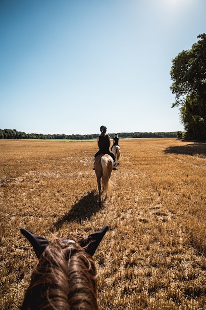 1001galops, Centre Equestres à Follainville-Dennemont