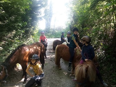 Equilibreasy, Centre Equestres à Saint-Sylvestre-de-Cormeilles