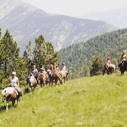 Les Crinières Blondes, Centre Equestres aux Angles