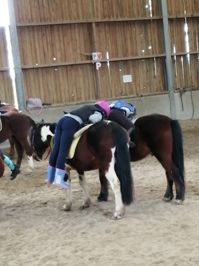 Farm Equestre Du Marais Noir, Centre Equestres à Vieux-Berquin