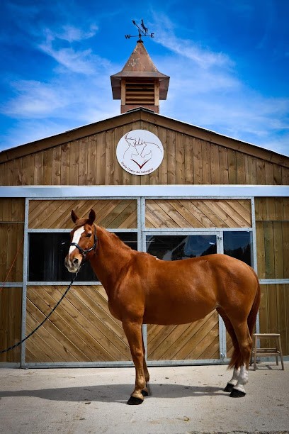 Ecurie coeur de sologne, Centre Equestres à Vernou-en-Sologne