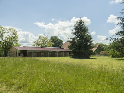 Ecurie PYTHAGORE, Pension pour Chevaux à Thionne
