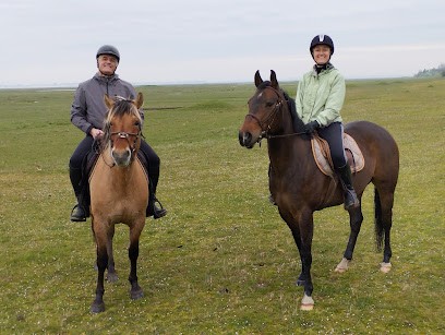 ASSOCIATION DU DOMAINE DE L AMBOISE, Centre Equestres à Saint-Valery-sur-Somme