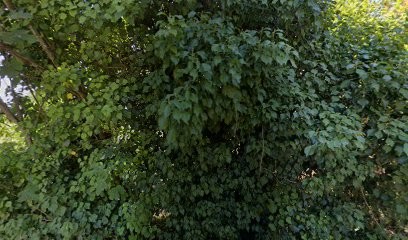 Périé Nicolas, Centre Equestres à Fontanes