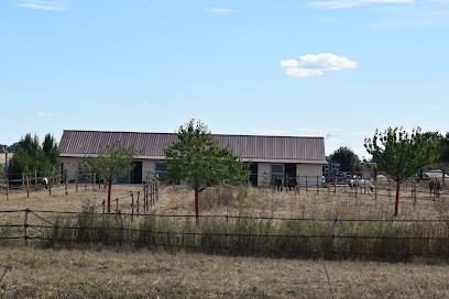 Ecuries de Grace, Pension pour Chevaux à Lumigny-Nesles-Ormeaux