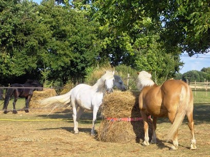 Ecurie De L'aiguille, Pension pour Chevaux à Jauldes