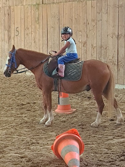 Equestrian Center De Montbronn, Centre Equestres à Enchenberg