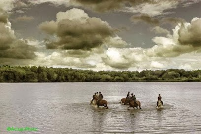 Equestrian Center Des Prés De La Grange, Centre Equestres à Plancher-Bas