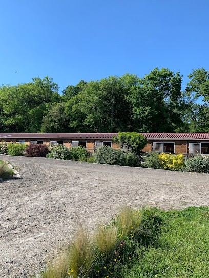 dsb dressage - écurie brieussel, Pension pour Chevaux à Parmain