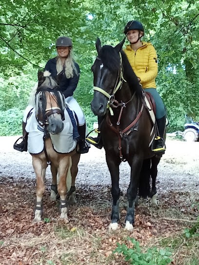 Écurie de la Rosière, Pension pour Chevaux à Leval