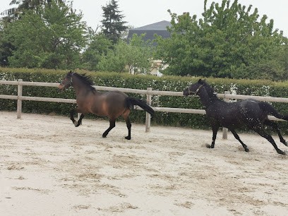 Les écuries Du Parc De Crécy, Centre Equestres à Crécy-Couvé