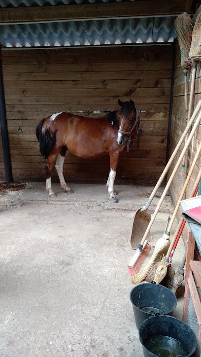 Les cavaliers de la Vézère, Centre Equestres à Sergeac