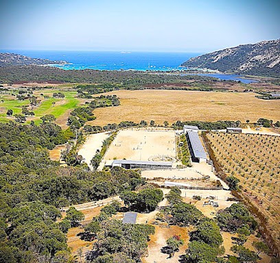 Area Equestrian Équicomplice, Centre Equestres à Porto-Vecchio