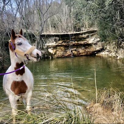Les Ecuries Du Mistral, Centre Equestres à La Bastide-des-Jourdans