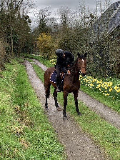 Ferme Équestre des Six Chemins, Centre Equestres à Saint-Jouin