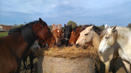 Equestrian Center West Coral Hennebont, Centre Equestres à Hennebont